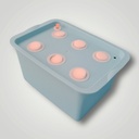 Box de plantation 6T