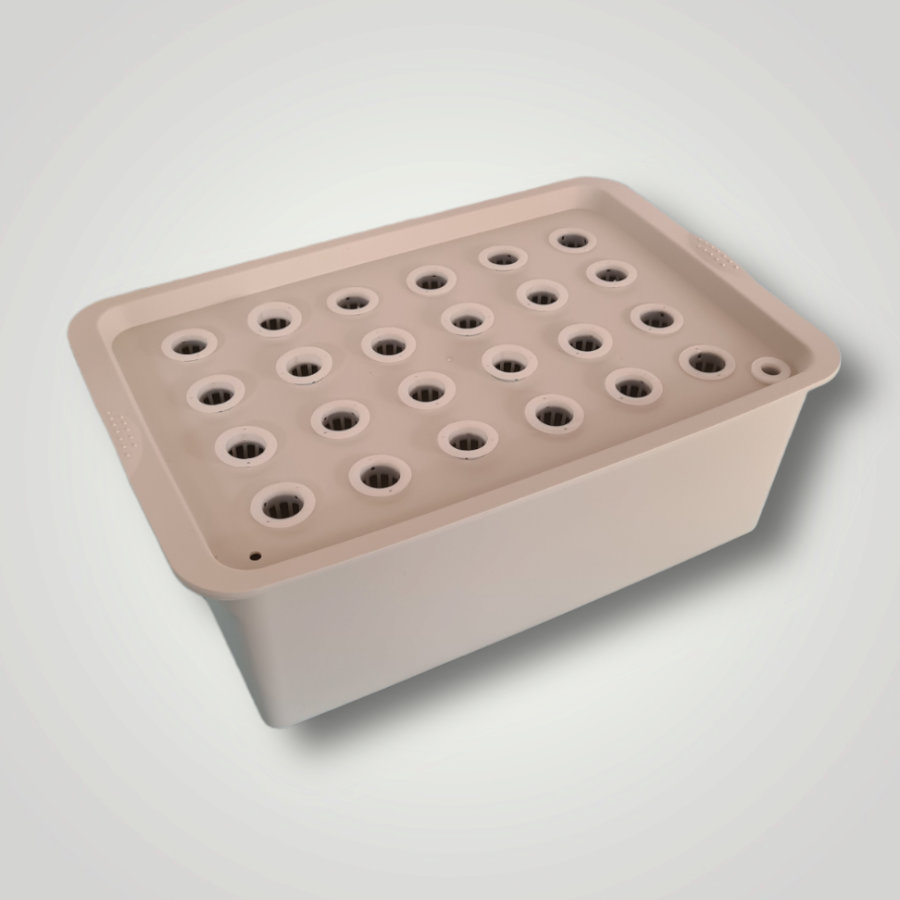 Box de plantation 24T