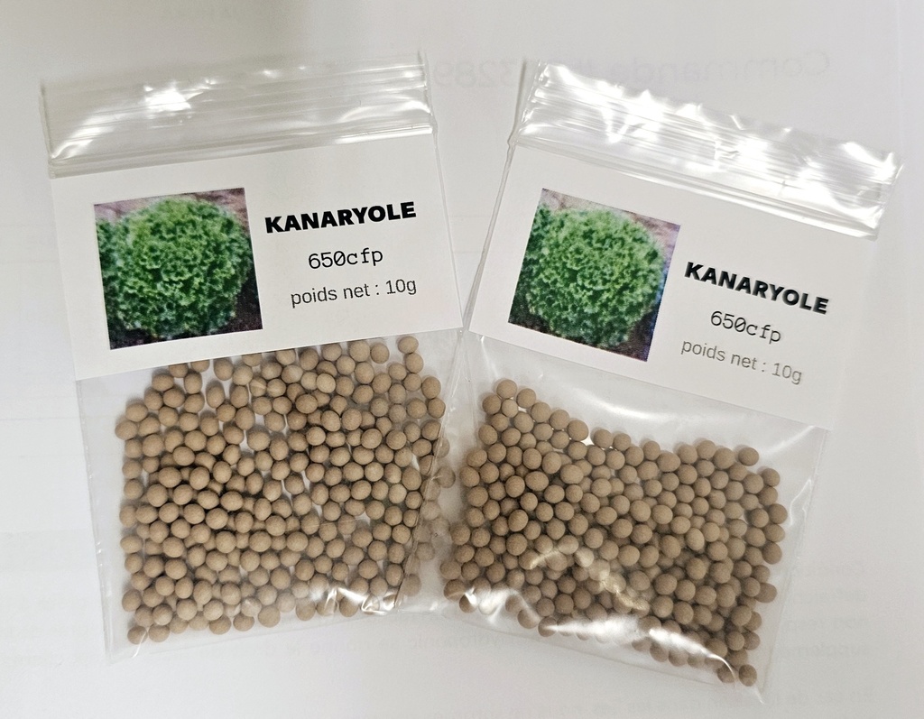 Sachet de graine KANARYOLE 10G