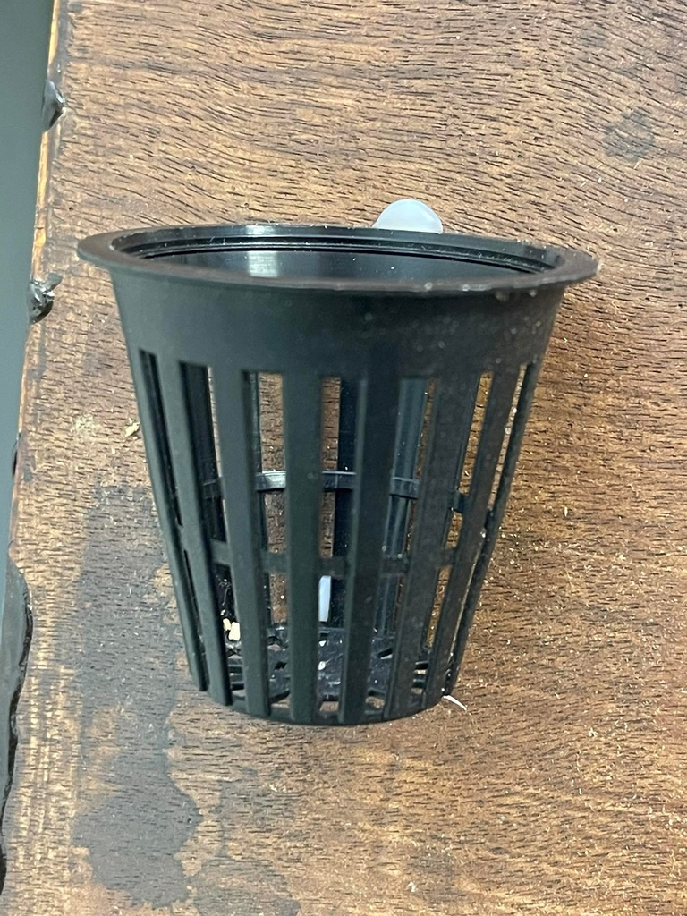 Pot 14