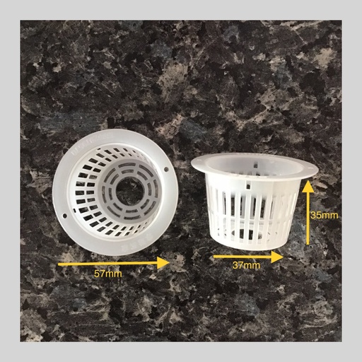 Pot 7