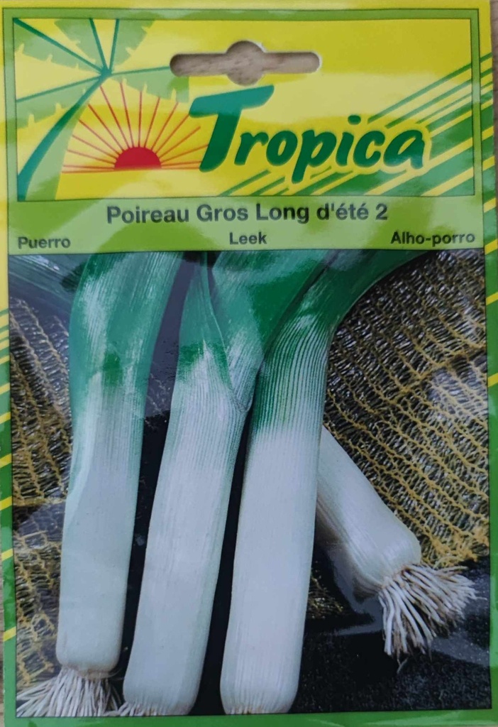 SEMENCES POIREAU GROS LONG D'ETE