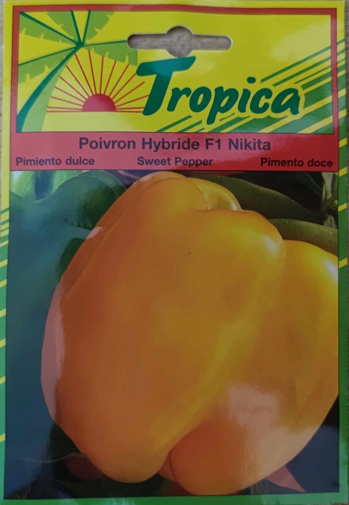 SEMENCES POIVRON HYBRIDE F1 NIKITA