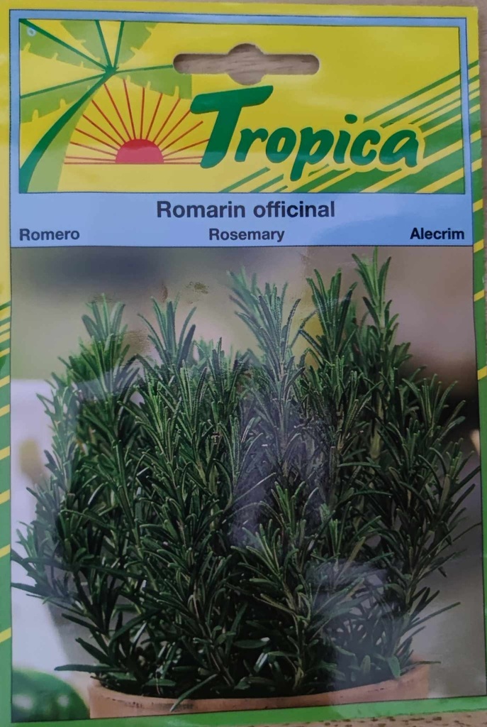 SEMENCES ROMARIN OFFICINAL