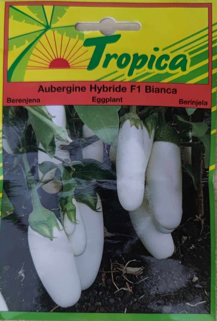 SEMENCES AUBERGINE HYBRIDE F1 BIANCA