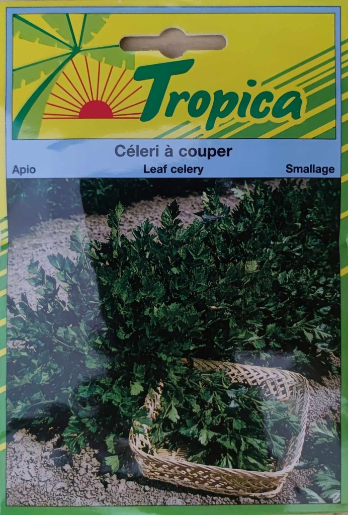 SEMENCES CELERI A COUPER