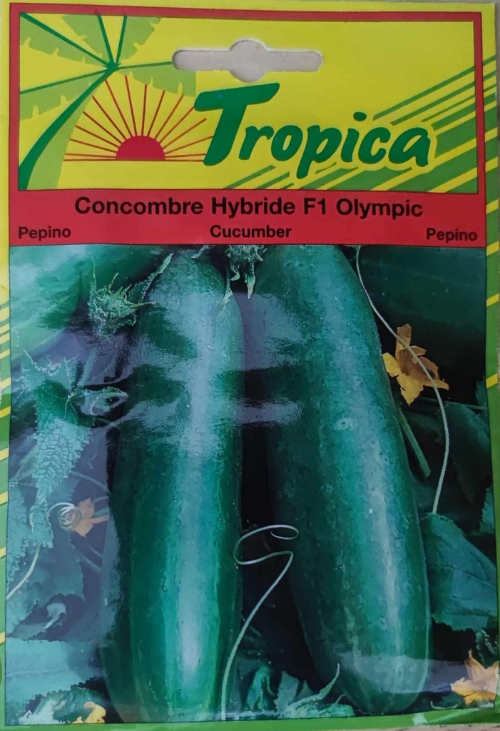 SEMENCES CONCOMBRE HYBRIDE F1 OLYMPIC