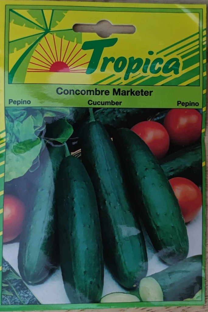 SEMENCES CONCOMBRE MARKETER