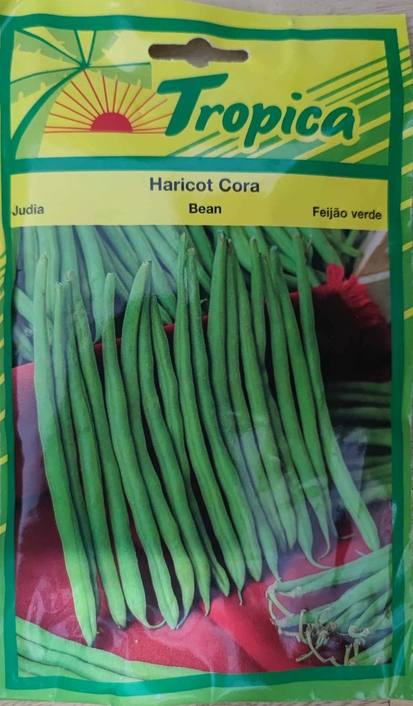 SEMENCES HARICOT CORA
