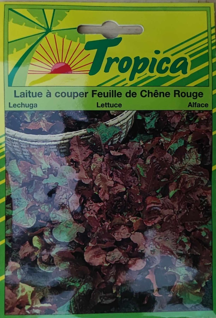 SEMENCES LAITUE A COUPER FEUILLE DE CHENE ROUGE