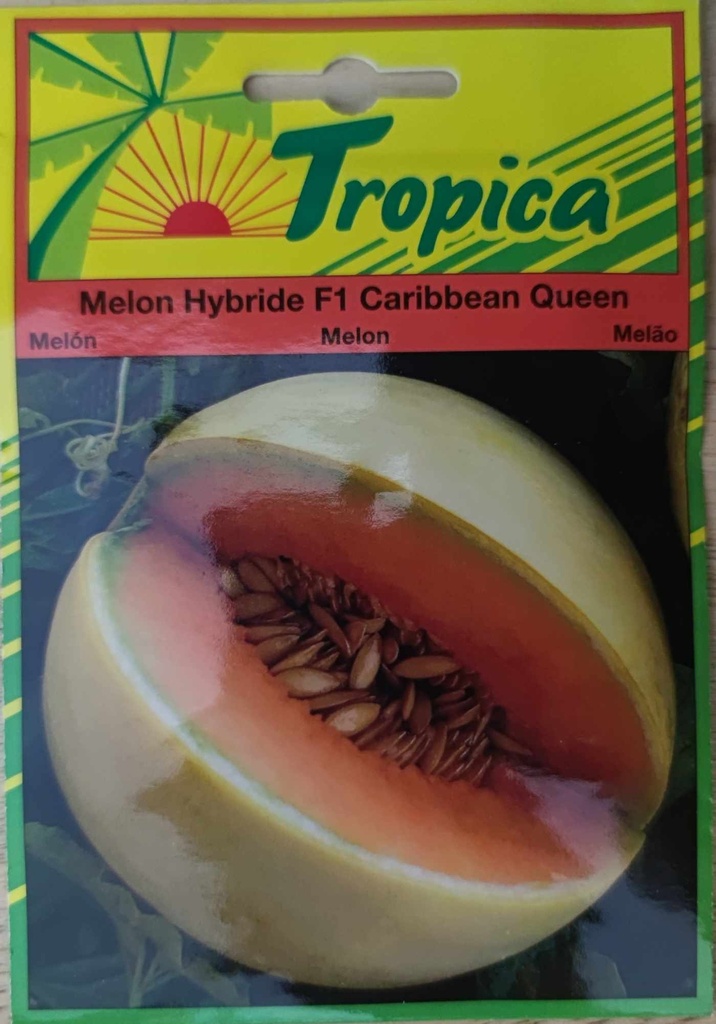 SEMENCES MELON HYBRIDE F1 CARRIBEAN QUEEN