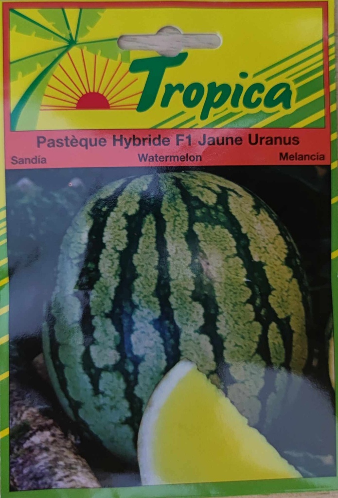 SEMENCES PASTEQUE HYBRIDE F1 JAUNE URANUS
