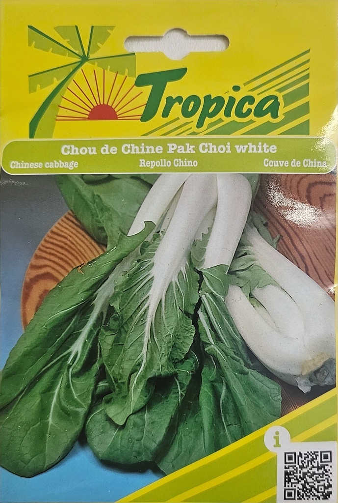 SEMENCES CHOU DE CHINE PAK CHOI WHITE