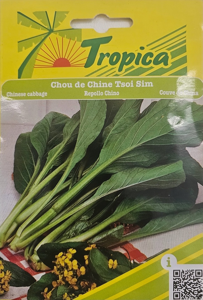 SEMENCES CHOU DE CHINE TSOI SIM 