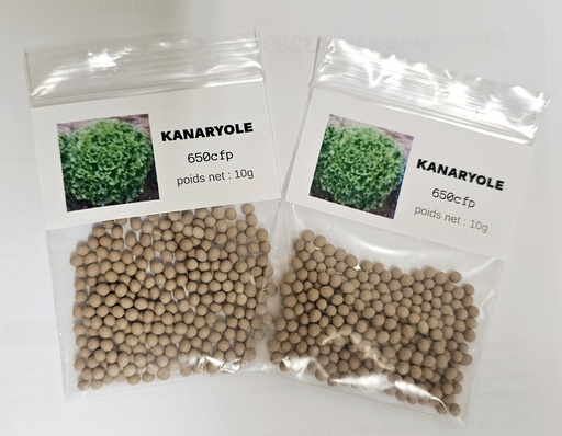 [10GKANARYOLE] Sachet de graine KANARYOLE 10G
