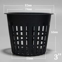 Pot 16