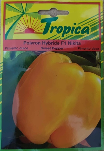 SEMENCES POIVRON HYBRIDE F1 NIKITA