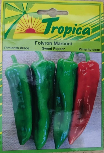 SEMENCES POIVRON MARCONI