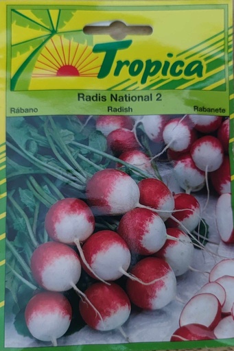 SEMENCES RADIS NATIONAL 2