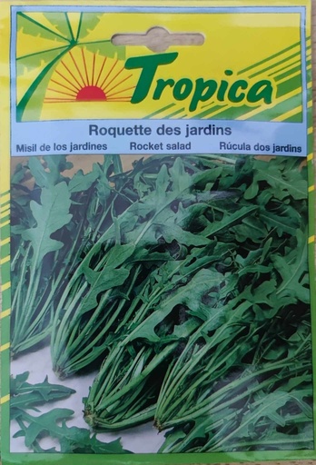 SEMENCES ROQUETTE CULTIVEE DES JARDINS