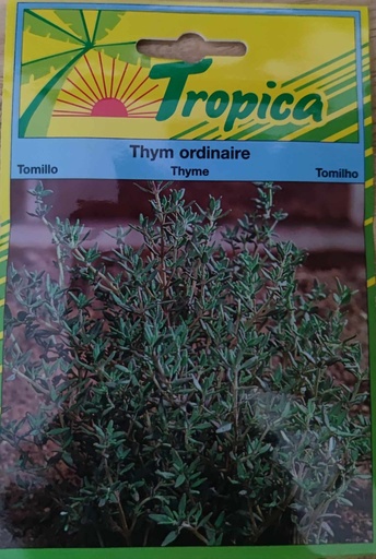 SEMENCES THYM ORDINAIRE