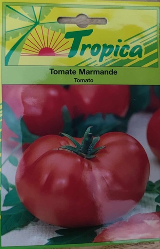 SEMENCES TOMATE MARMANDE