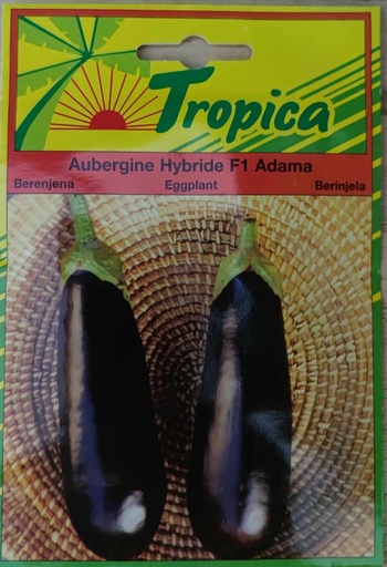 SEMENCES AUBERGINE HYBRIDE F1 ADAMA