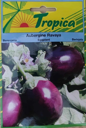SEMENCES AUBERGINE RAVAYA