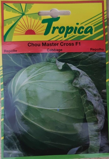 SEMENCES CHOU MASTER CROSS F1