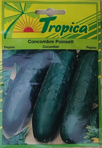 SEMENCES CONCOMBRE POINSETT