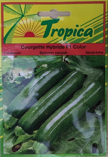 SEMENCES COURGETTE HYBRIDE F1 COLOR