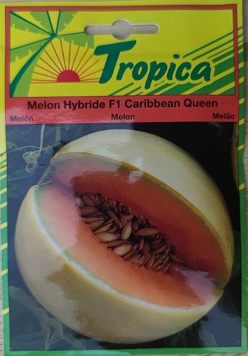 SEMENCES MELON HYBRIDE F1 CARRIBEAN QUEEN