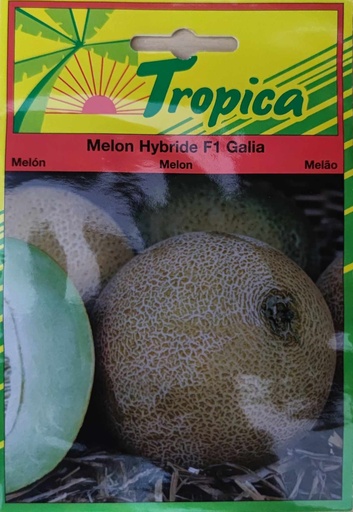 SEMENCES MELON HYBRIDE F1 GALIA
