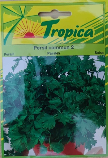 SEMENCES PERSIL COMMUN