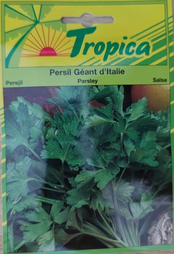 SEMENCES PERSIL GEANT D'ITALIE