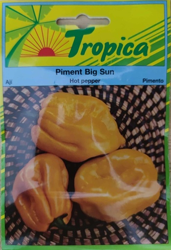 SEMENCES PIMENT BIG SUN