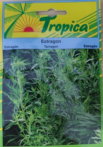 SEMENCES ESTRAGON