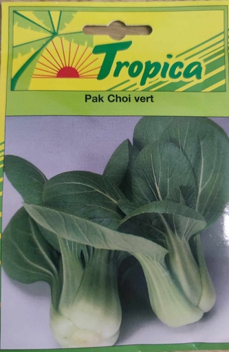 SEMENCES CHOU DE CHINE PAK CHOI VERT