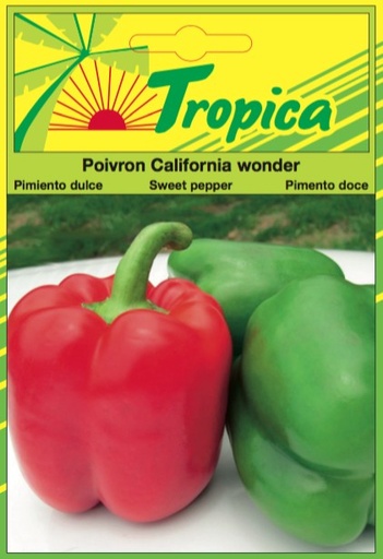 SEMENCES POIVRON CALIFORNIA WONDER
