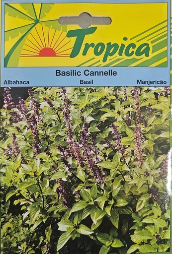 SEMENCES BASILIC CANNELLE
