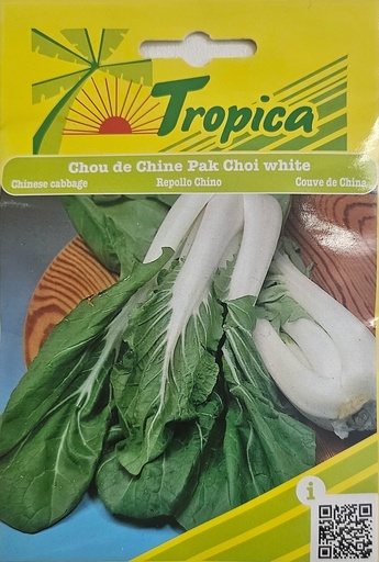 SEMENCES CHOU DE CHINE PAK CHOI WHITE