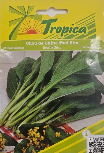 SEMENCES CHOU DE CHINE TSOI SIM 